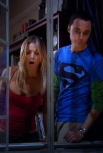 The Big Bang Theory Season 2 Episode 7 Rotten Tomatoes
