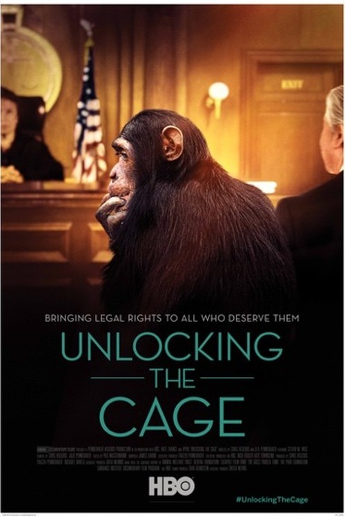 Unlocking the Cage poster