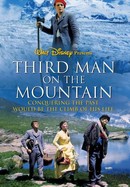 Third Man on the Mountain poster image
