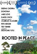 Rooted in Peace poster image