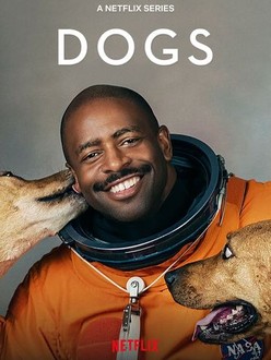 Dog tv best sale shows for dogs