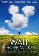 Walt Before Mickey poster image