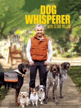 Cesar millan collar outlet petco