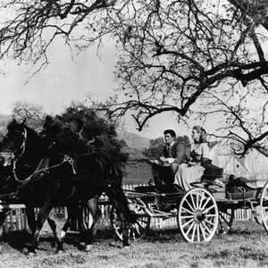 THE LEGEND OF TOM DOOLEY, Michael Landon, Jo Morrow, 1959