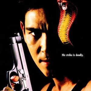 Operation Cobra photo 5