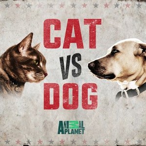 Cat vs. Dog - Rotten Tomatoes